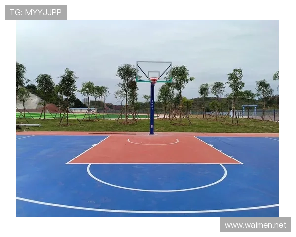 5步篮球场（篮球场 几步）世界杯体育论坛